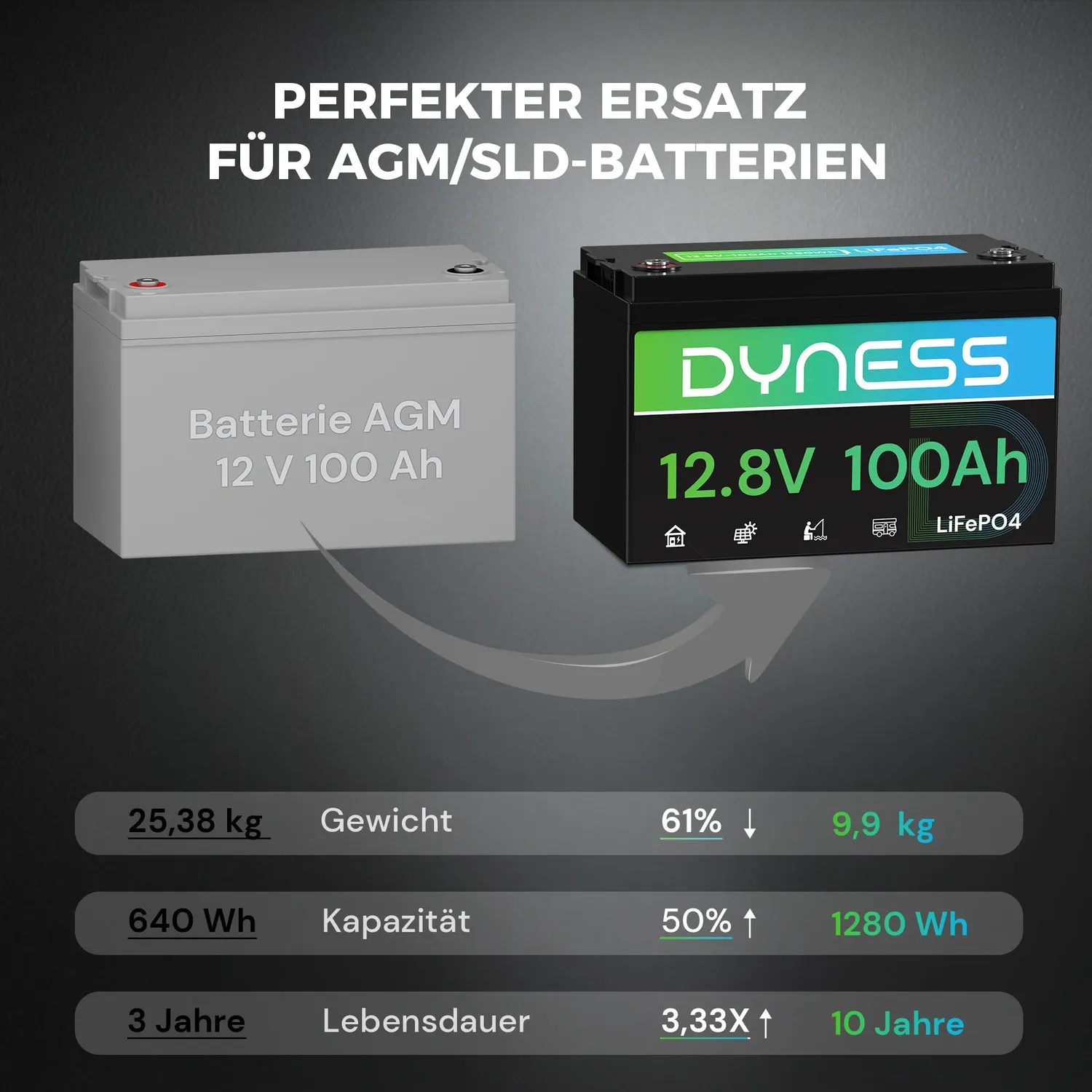 Dyness 12V 100Ah LiFePO4 Batterie 1280Wh
