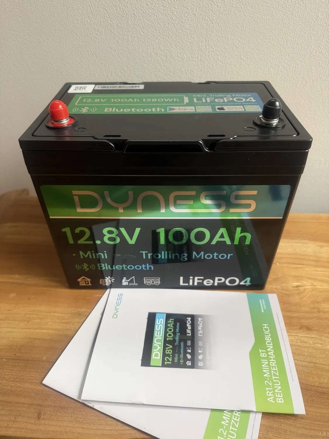 Dyness 12V 100Ah Mini Bluetooth LiFePO4 Batterie