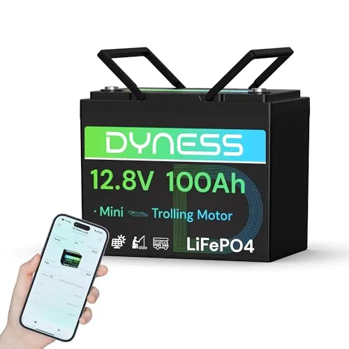 Dyness 12V 100Ah Mini Bluetooth LiFePO4 Batterie mit App
