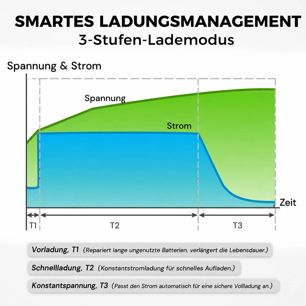 Dyness 29.2V 20A Batterieladegerät 24V LiFePO4 3-stufig