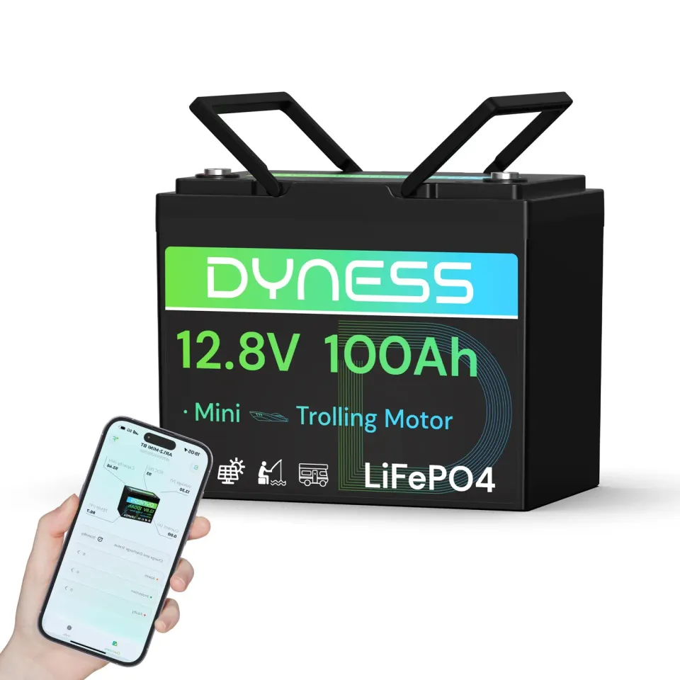 Dyness 12V 100Ah Mini Bluetooth LiFePO4 Batterie mit App