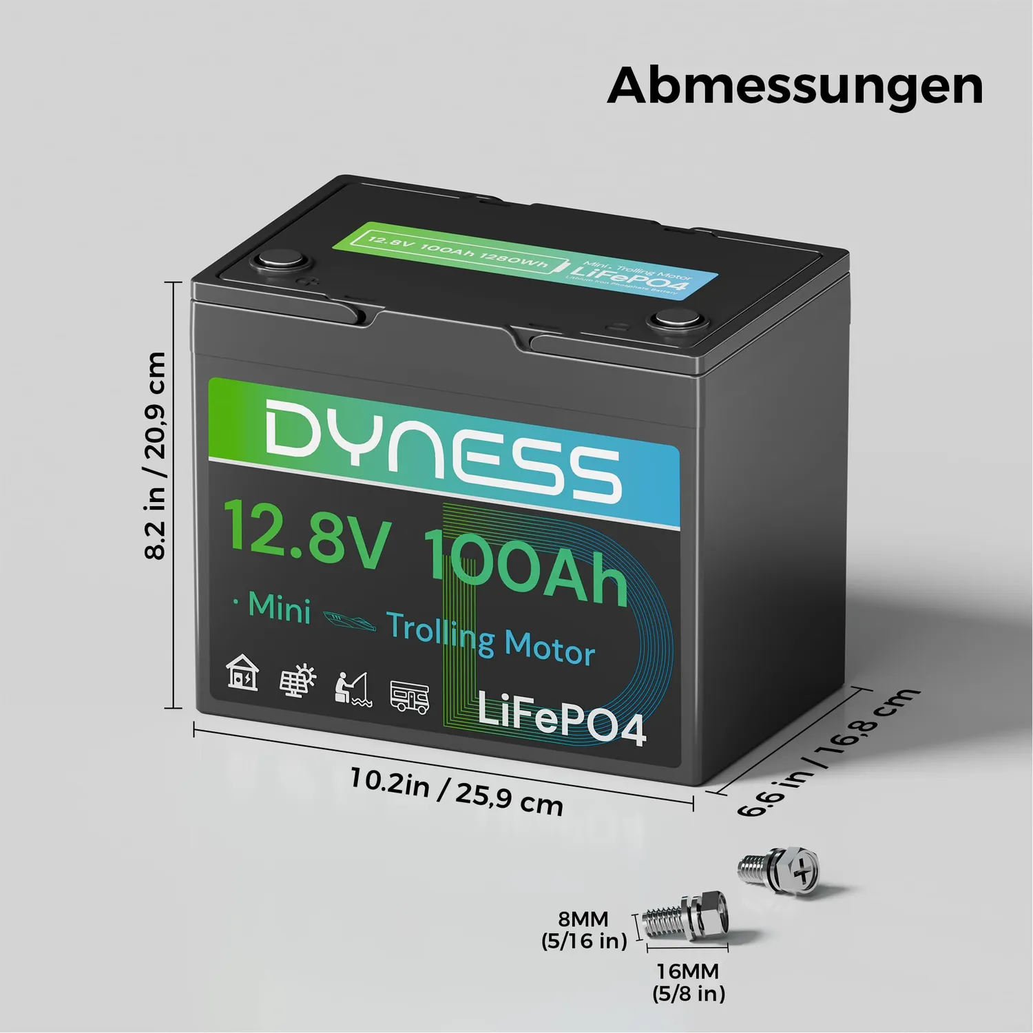 Dyness 12V 100Ah Mini LiFePO4 Batterie