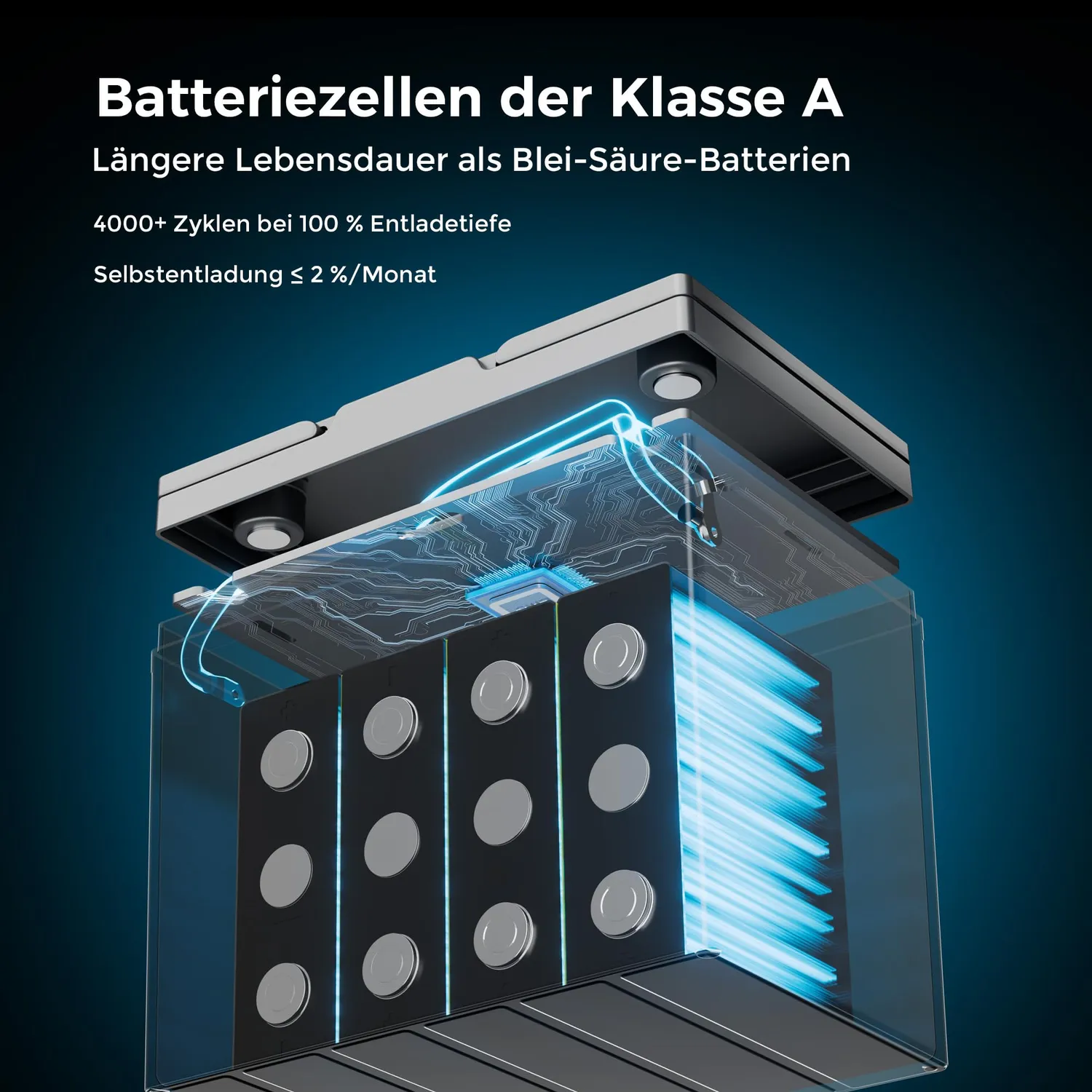 Dyness 12V 100Ah Mini Bluetooth LiFePO4 Batterie mit App
