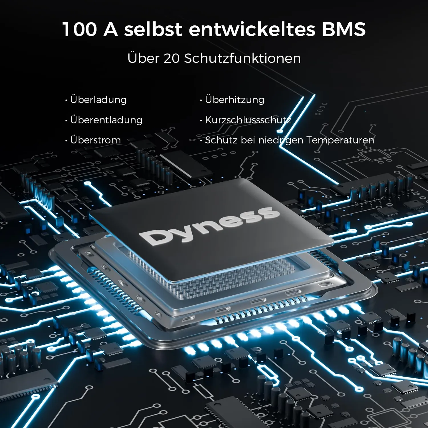 Dyness 12V 100Ah LiFePO4 Batterie 1280Wh