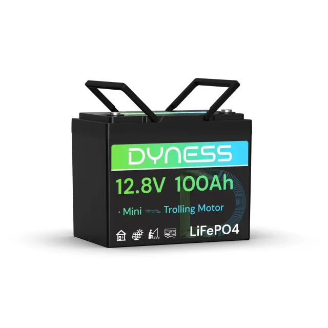 Dyness 12V 100Ah Mini LiFePO4 Batterie