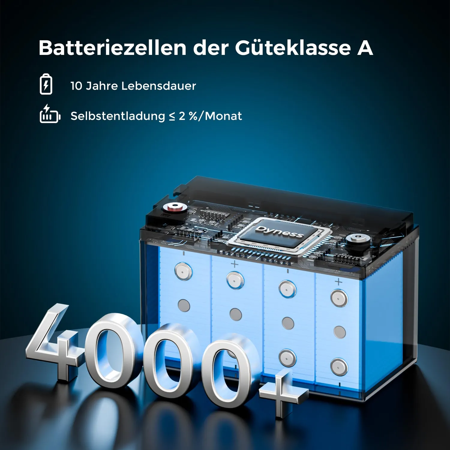 Dyness 12V 100Ah LiFePO4 Batterie 1280Wh