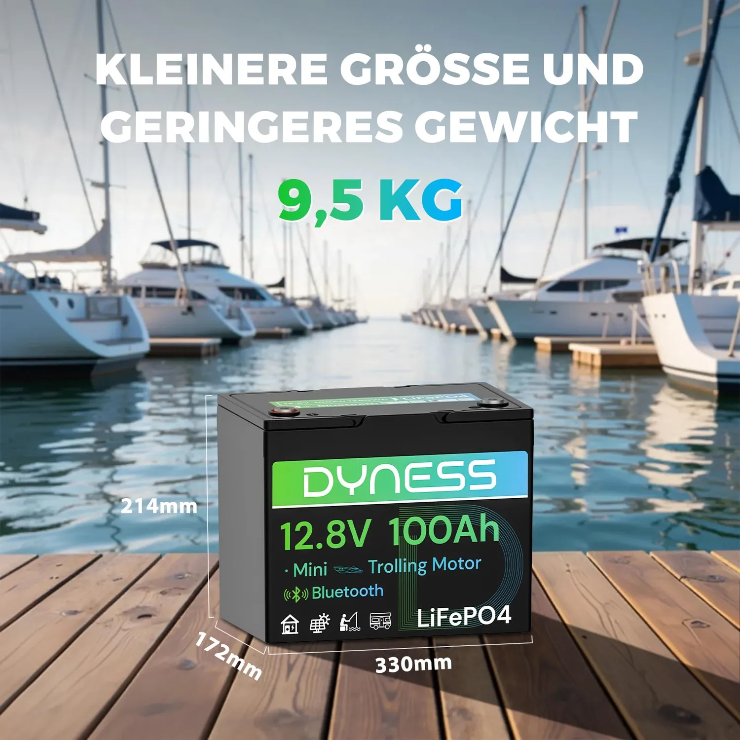 Dyness 12V 100Ah Mini Bluetooth LiFePO4 Batterie mit App