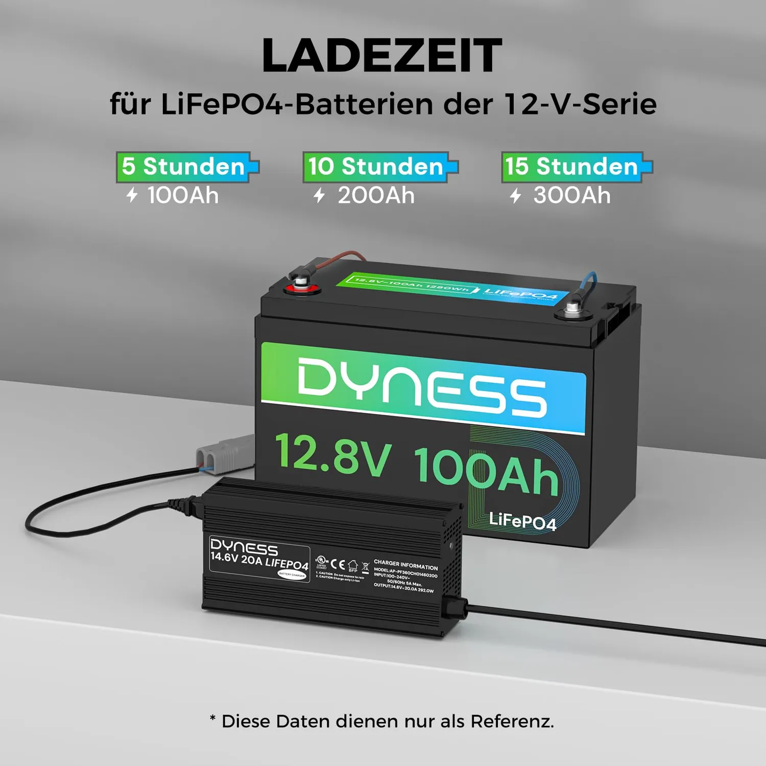 Dyness 12V 20A LiFePO4 Ladegerät 14,6V 3-stufig