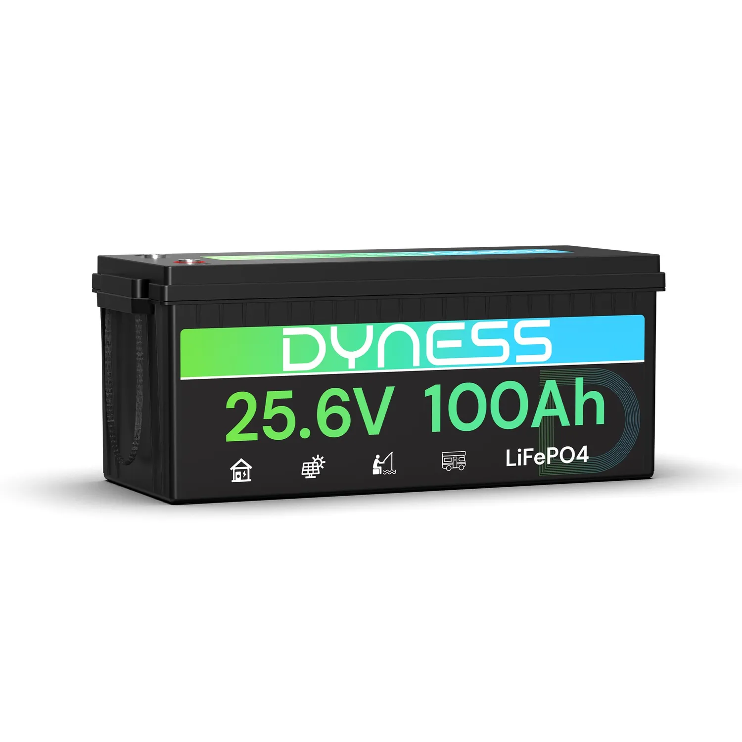 Dyness 12V 100Ah Mini LiFePO4 Batterie