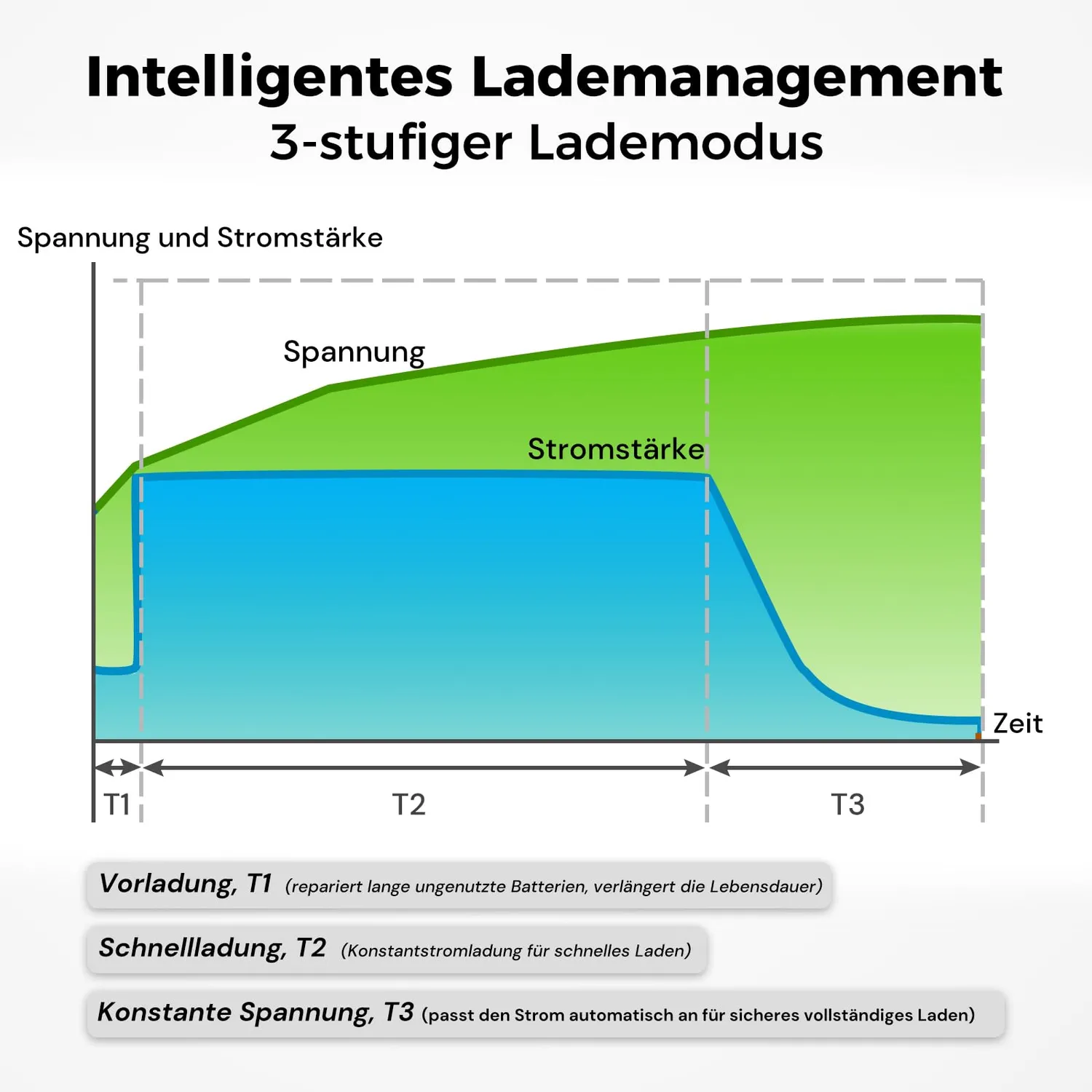 Dyness 12V 20A LiFePO4 Ladegerät 14,6V 3-stufig
