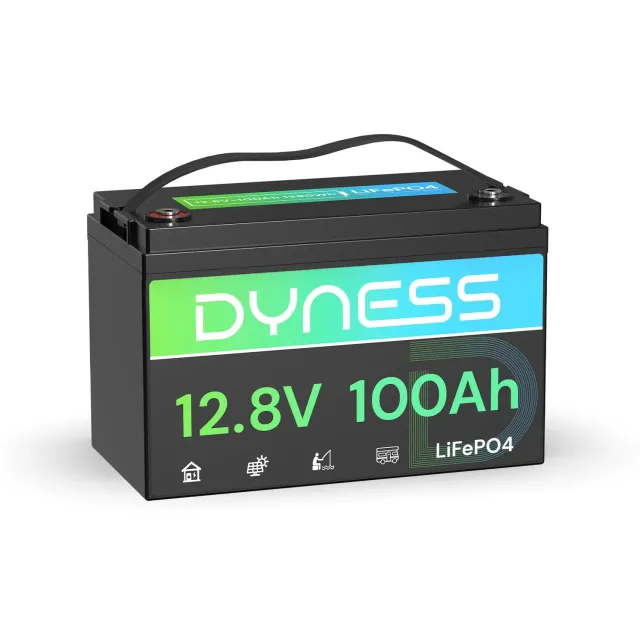 Dyness 12V 100Ah LiFePO4 Batterie 1280Wh