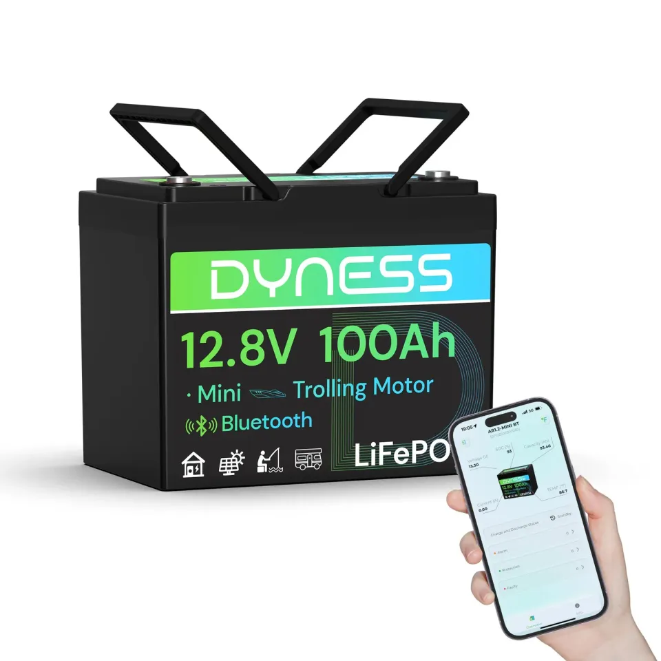 Dyness 12V 100Ah Mini Bluetooth LiFePO4 Batterie