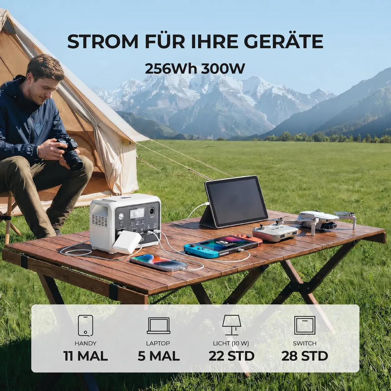 Dyness 300W 256Wh Powerstation LiFePO4 Notstrom